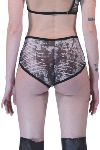 High Waisted Pantys in Mesh
